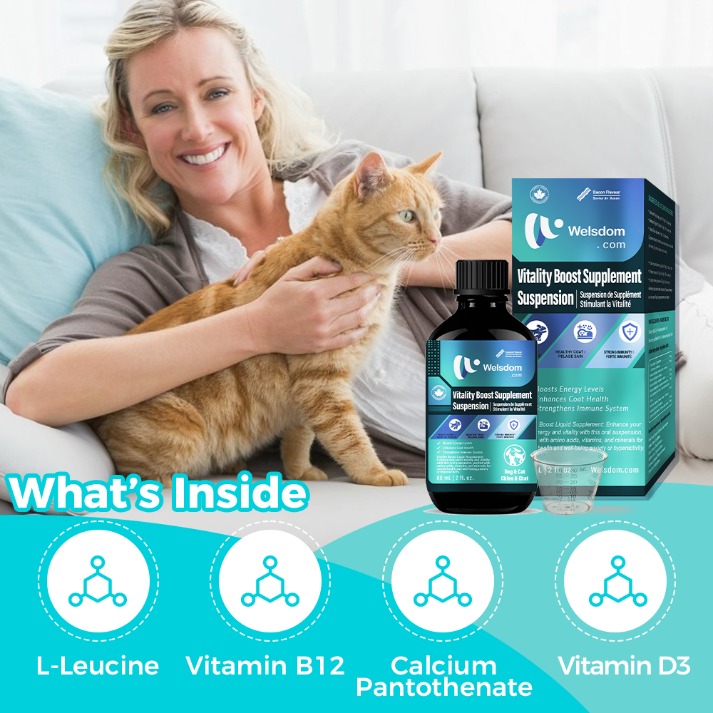 Vitality Boost Liquid Supplement for Pets | Energy & Health Support