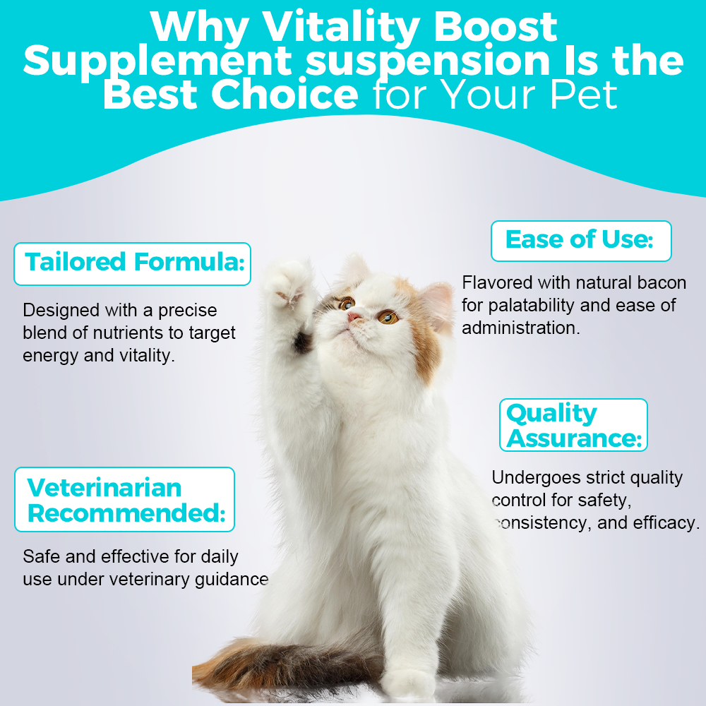 Vitality Boost Liquid Supplement for Pets | Energy & Health Support